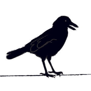 My Crow, Your Crow; Peter Cooley