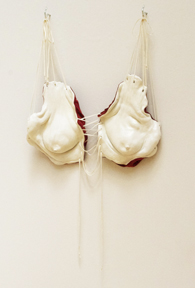 Kathryn Whistler 1, Bachelor of Fine Arts Exhibition 2012