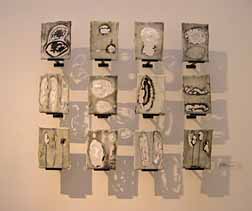 Julie Young 4, Bachelor of Fine Arts Exhibition, 2004