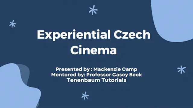 Mackenzie Camp, 2024 Tenenbaum Tutorial Project
