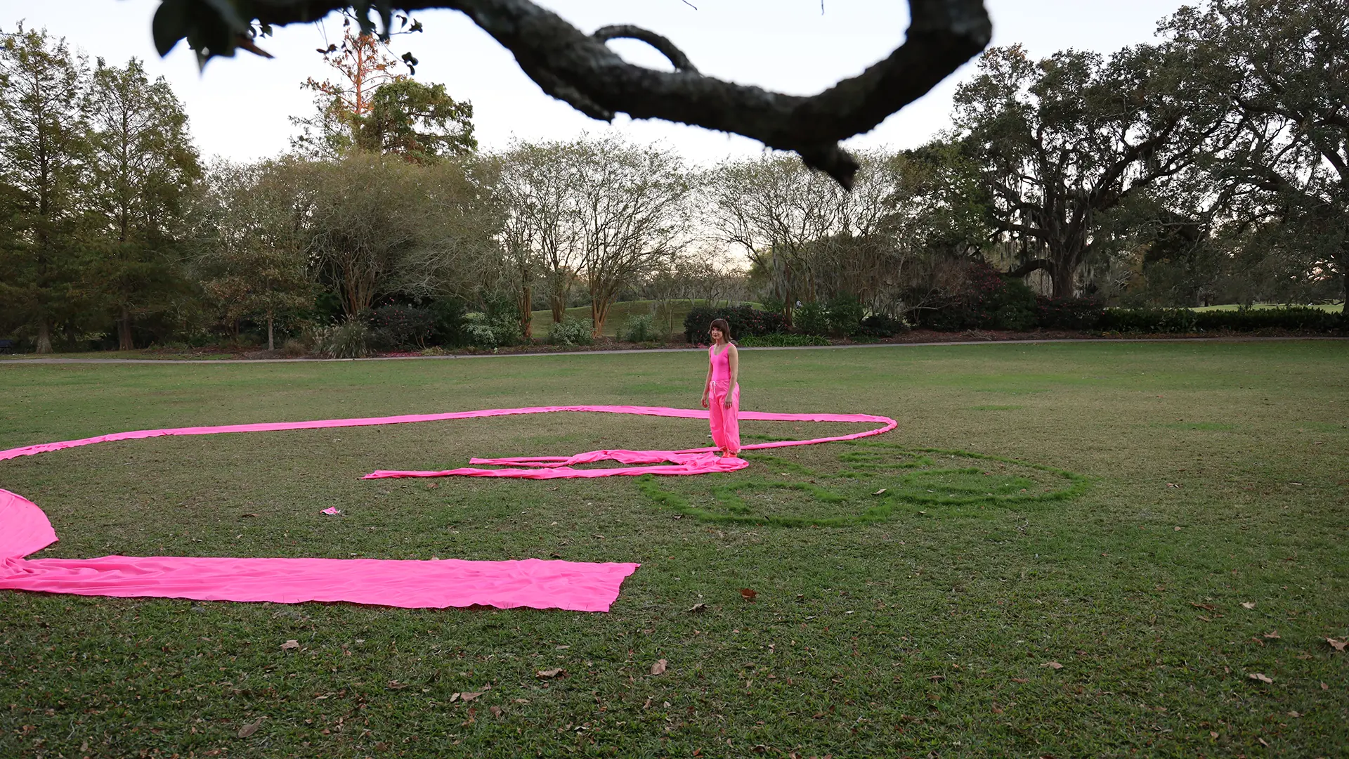 Master of Fine Arts in Interdisciplinary Dance Performance at Tulane