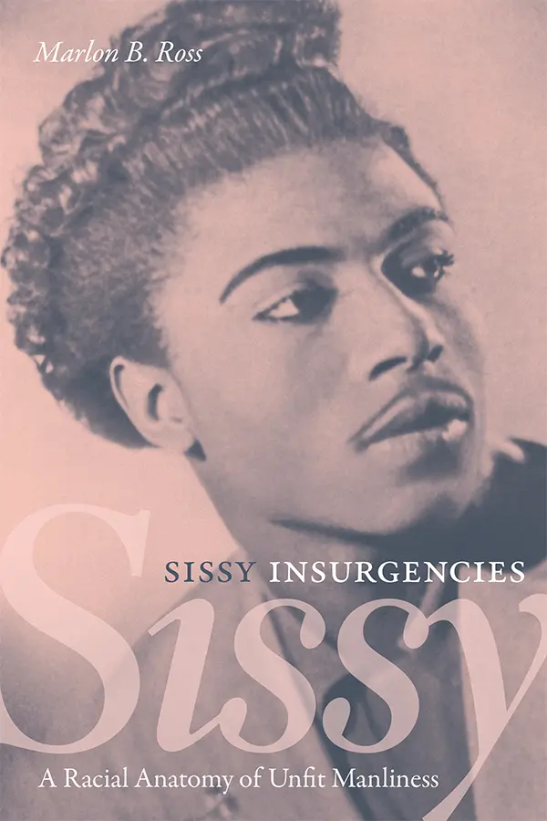 Book Cover for Sissy Insurgencies