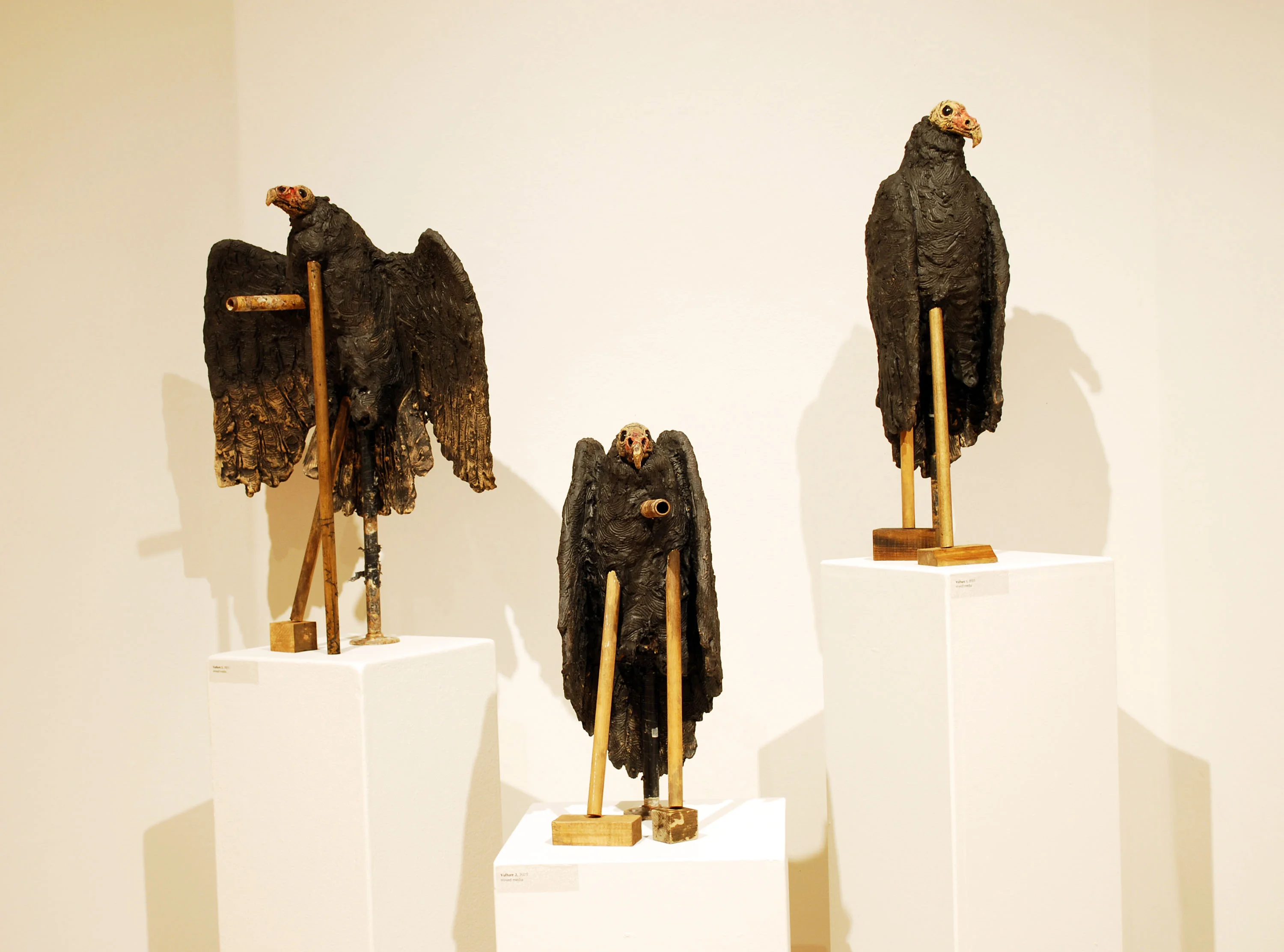 Adrien Lee, image 4, Tulane University 2025 MFA Thesis Exhibition