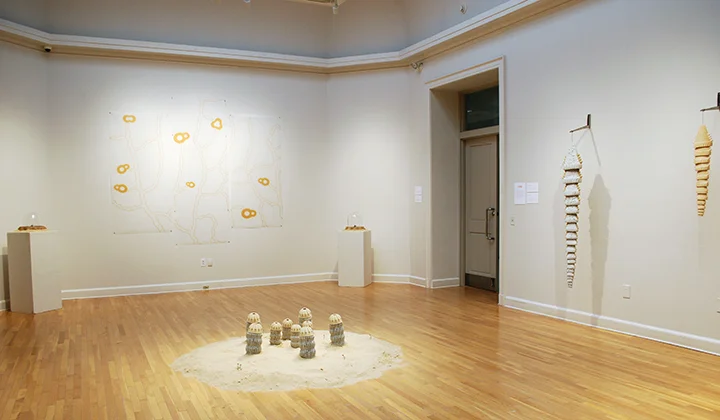 Grace McIntyre-Willis, image 1, Tulane University 2025 MFA Thesis Exhibition