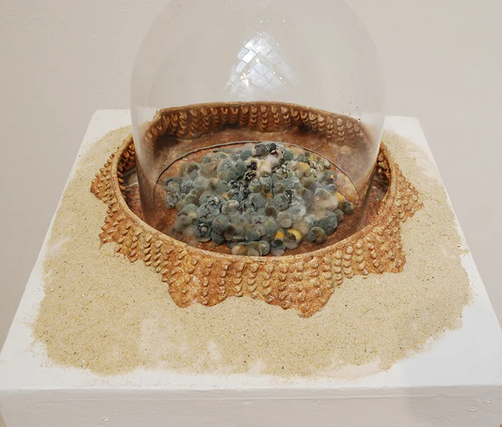 Grace McIntyre-Willis, image 6, Tulane University 2025 MFA Thesis Exhibition