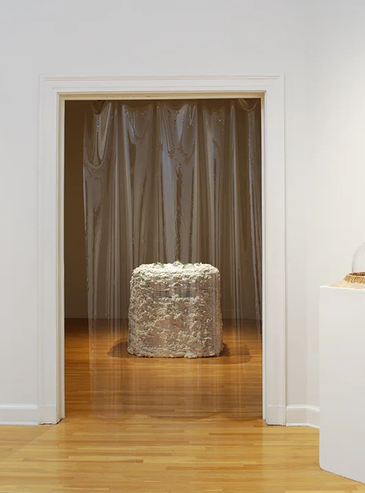 Grace McIntyre-Willis, image 7, Tulane University 2025 MFA Thesis Exhibition