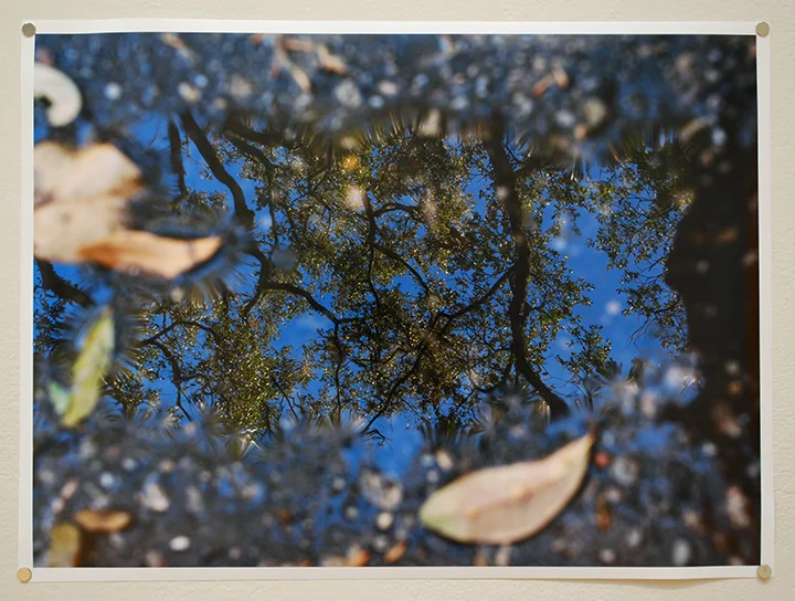 Jordyn Prizmich, image 3, Tulane University 2025 BA Exhibition