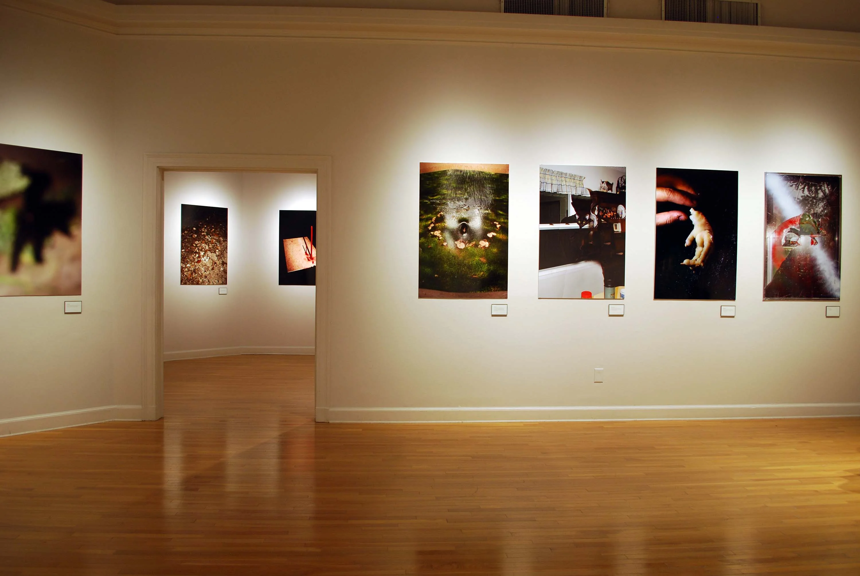 Robin Haithcoat, image 1, Tulane University 2025 MFA Thesis Exhibition