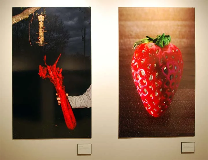 Robin Haithcoat, image 2, Tulane University 2025 MFA Thesis Exhibition