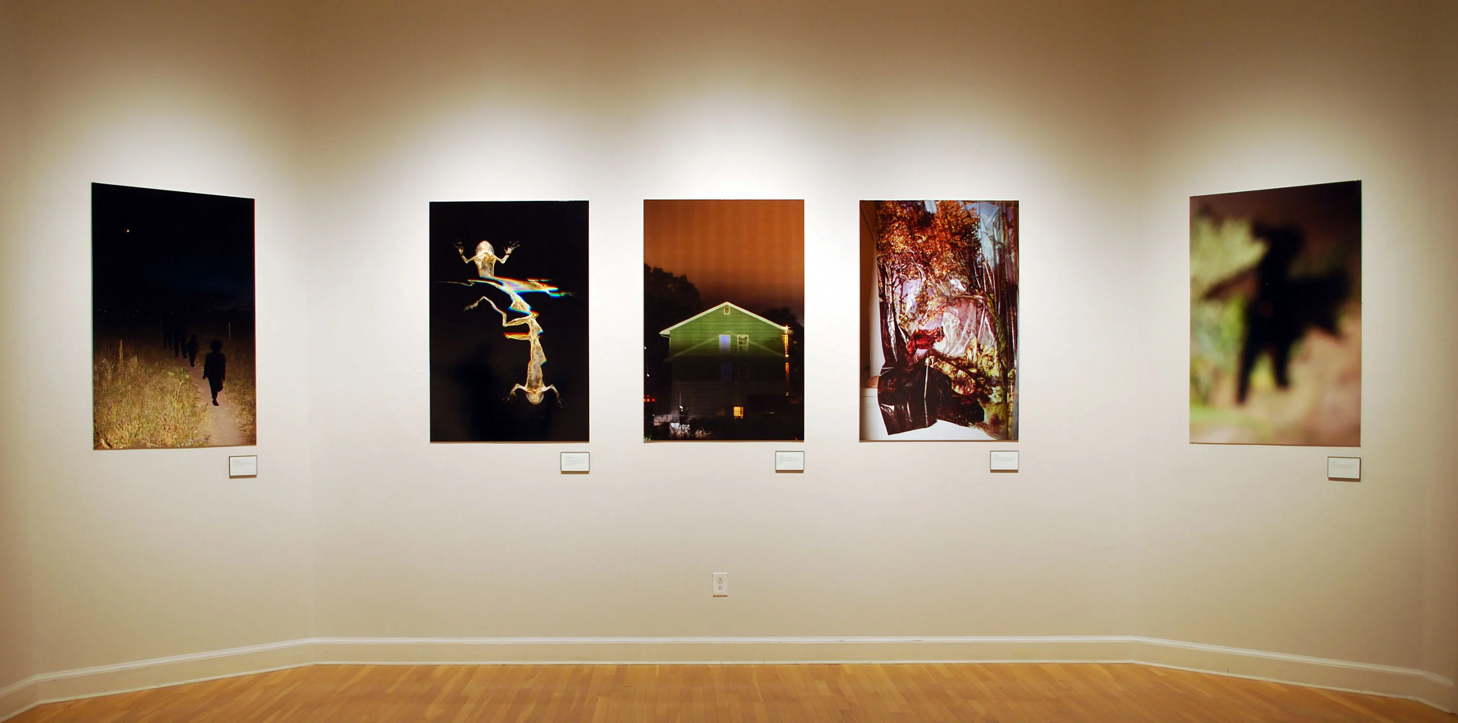Robin Haithcoat, image 4, Tulane University 2025 MFA Thesis Exhibition