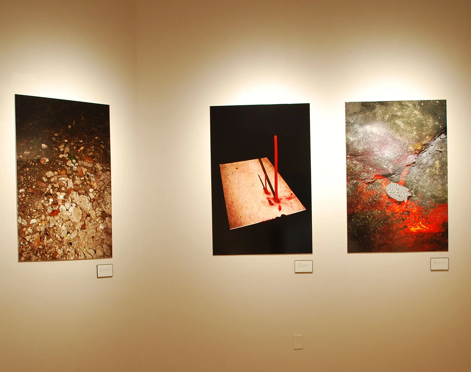 Robin Haithcoat, image 5, Tulane University 2025 MFA Thesis Exhibition
