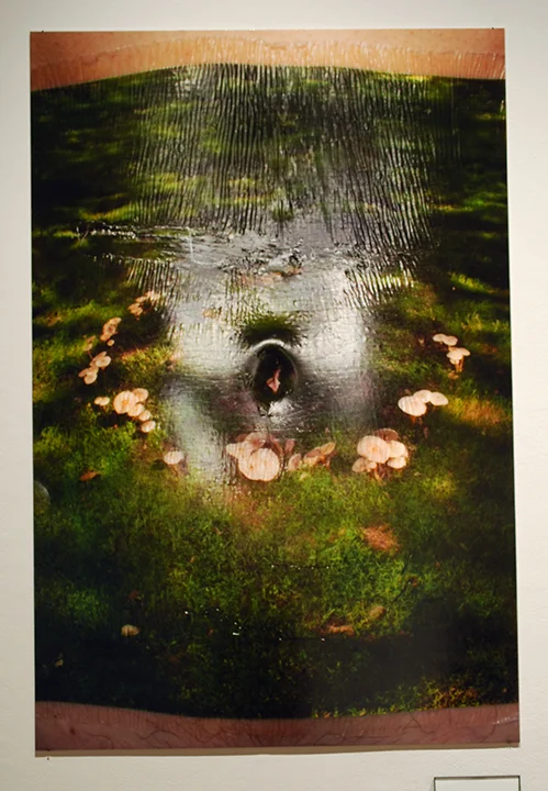 Robin Haithcoat, image 9, Tulane University 2025 MFA Thesis Exhibition