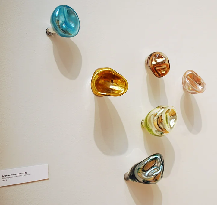 Theresa Batty, image 7, Tulane University 2025 MFA Thesis Exhibition