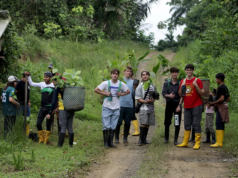 Tulane students carry seedlings up the road for planting in Ecuador.