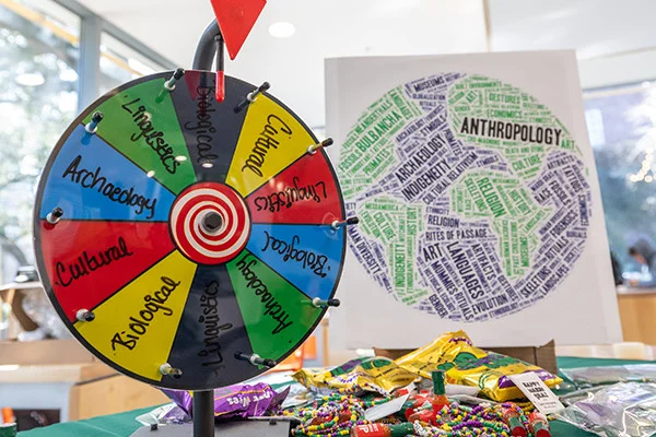 Anthropology fields on game wheel