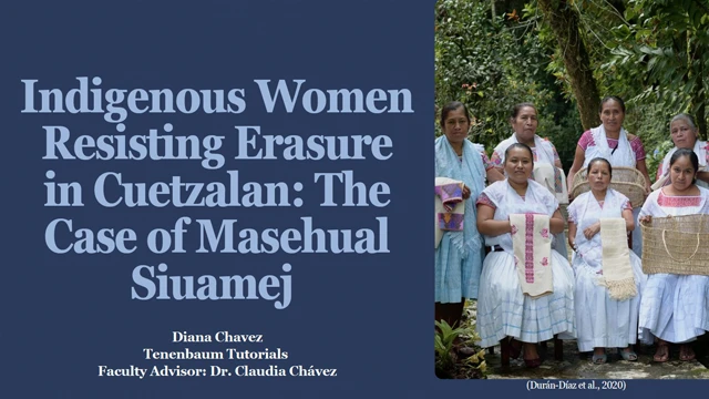 Diana Chavez, 2025 Tenenbaum Tutorial Project