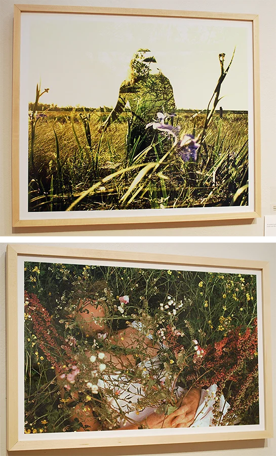 Sabine Greeson, Tulane University Undergraduate Juried Exhibition 2025