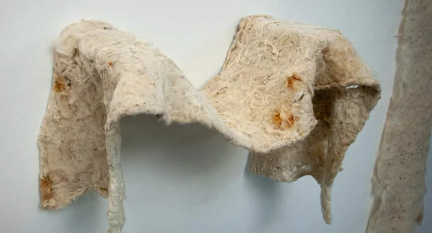 Art by Emi O’Brochta, Tulane University