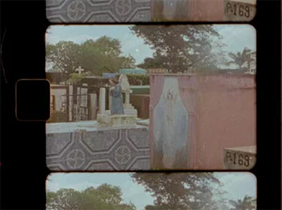 Art by Sarah Singh, Tulane University