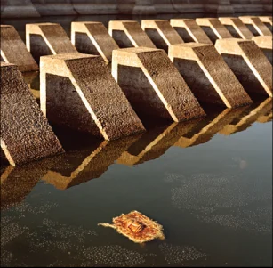 Annika Paulson, Tulane University