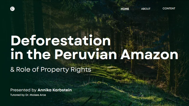 Annika Karbstein, 2026 Tenenbaum Tutorial Project