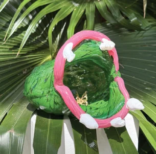 Cecile Abbott, Tulane University