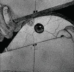 Oliver Conn, Tulane University