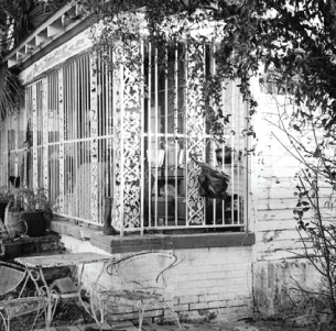 Patrick Davis, Tulane University