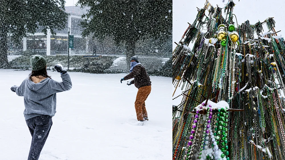Snowball fight in a park; piled Mardi Gras beads covered in snow.