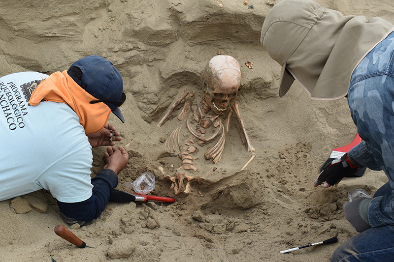 Huanchaco Archaeological Program team members excavating in the field