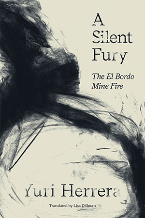 Book Cover, A Silent Fury