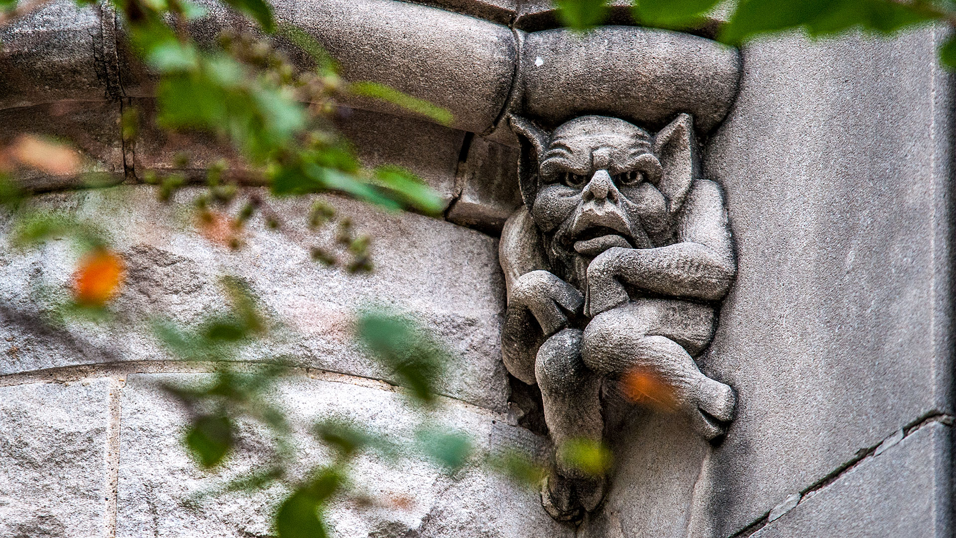 A chimera looks down from its perch high above a side entrance to Norman Mayer Hall on the Tulane University uptown campus. Copyright Tulane University