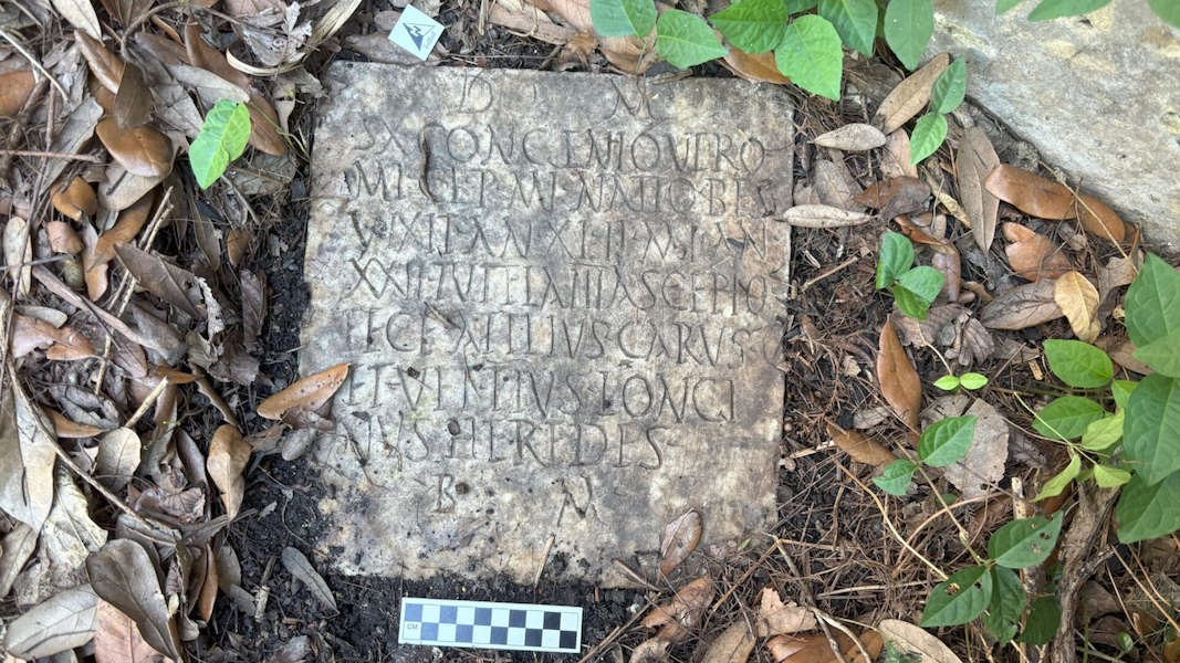 Headstone latin in a pile of leave