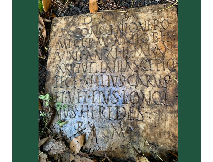 Roman artifact discovery