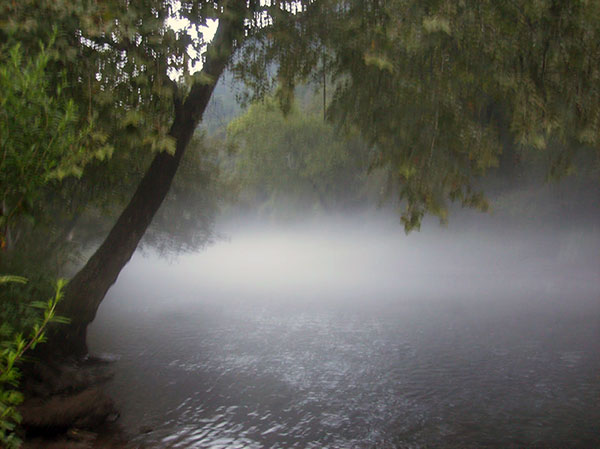 Fog on the Ocoee River.
