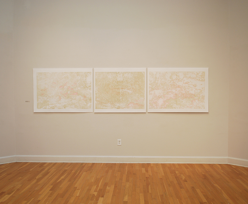 Relief and intaglio monoprint, red, pink, and gray color pencil on paper