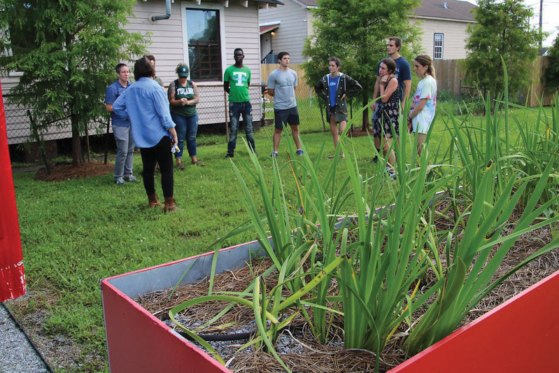 Students working in a community garden