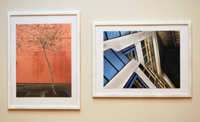two framed digital prints, with vertical image on left of orange wall and young leafless tree; and image on right of fragmented images of house exterior containing windows and blue siding