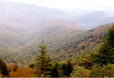 The southern Appalachian landscape, in western North Carolina