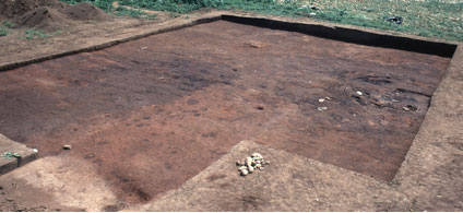 Burned remnants of Cherokee domestic houses in southwestern North Carolina