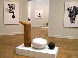 Another view, Master of Fine Arts Exhibition, 2004