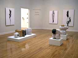Gallery view, Master of Fine Arts Exhibition, 2004