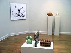 Photography and Sculpture, Master of Fine Arts Exhibition, 2004