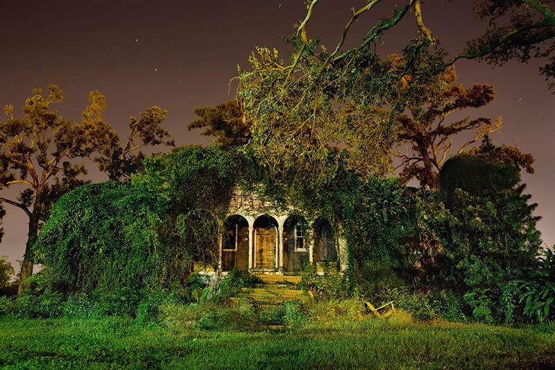 Frank Relle. Telemachus. Farragut Street, New Orleans. November 2006.