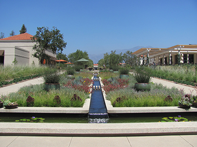 Huntington Library and Botanical Gardens