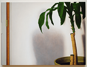 painting of a white wall and a potted plant with a vague shadow of a figure