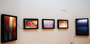 five lightboxes in black frames with illuminated transparencies of abstracted organic forms