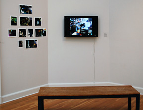 two adjoining walls of gallery, one with four rows of small unframed photos, and one with video monitor showing videos of horses visiting the inside of a museum, with bench for viewer