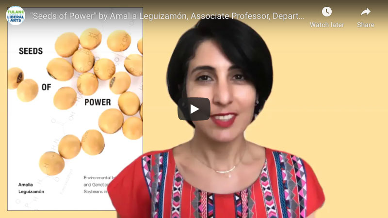 Amalia Leguizamón, Sociology, Seeds of Power