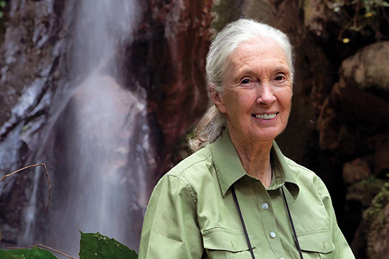 Jane Goodall at Tulane